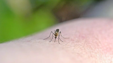 Հայտնի է դարձել մոծակների համար ամենագրավիչ արյան խումբը